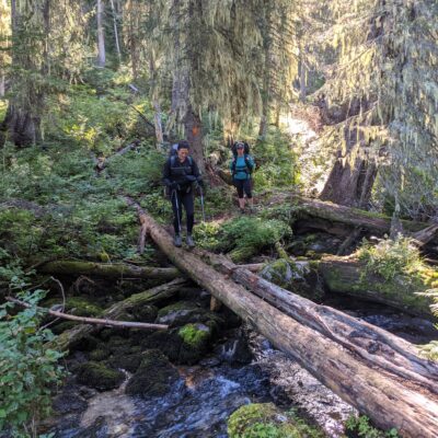 River Log Crossing